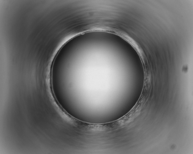 X0000103230811200808281429