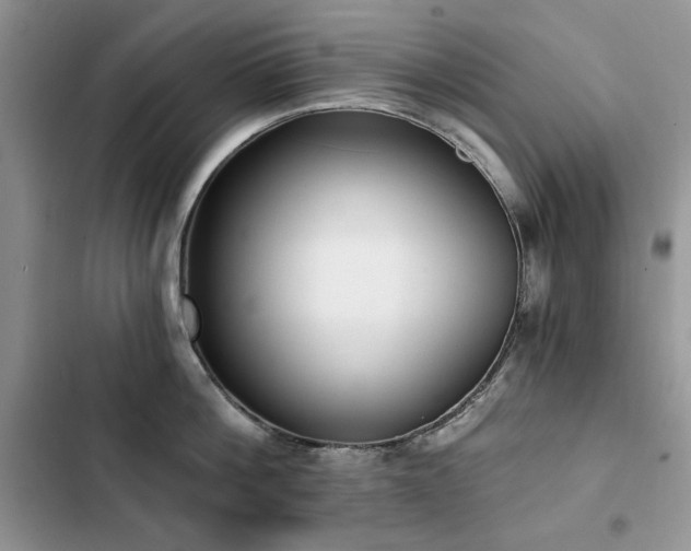 X0000103230812200808281429