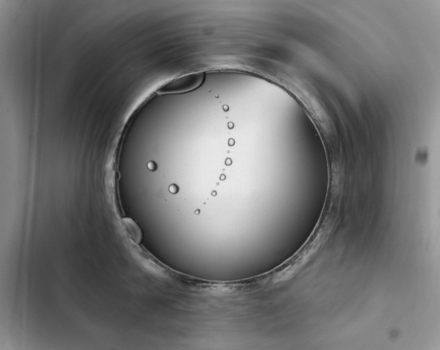 X0000103230814200808281429