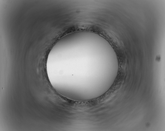 X0000103230817200808281428