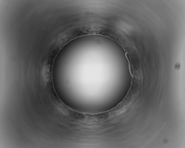 X0000103230818200808281428