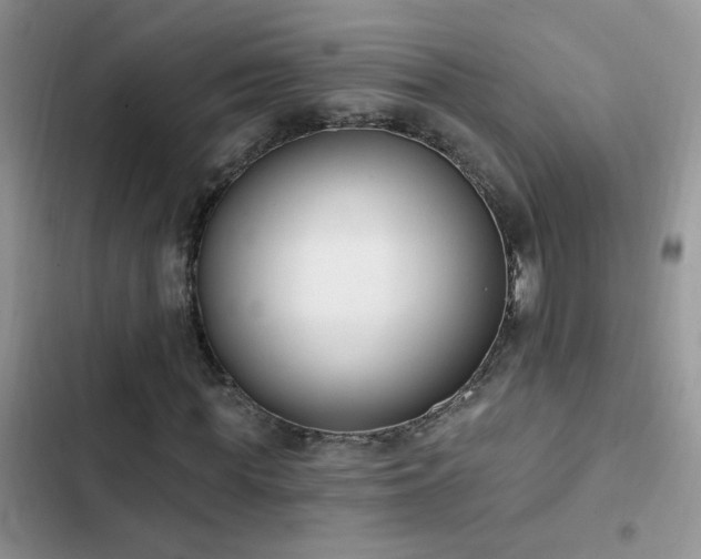 X0000103230819200808281428