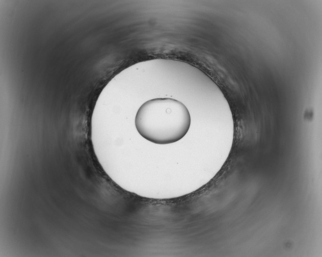 X0000103230820200808281428
