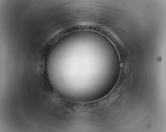 X0000103230821200808281428