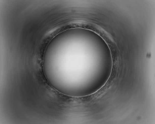 X0000103230822200808281428