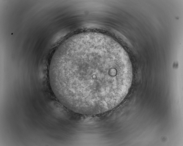 X0000103230824200808281428