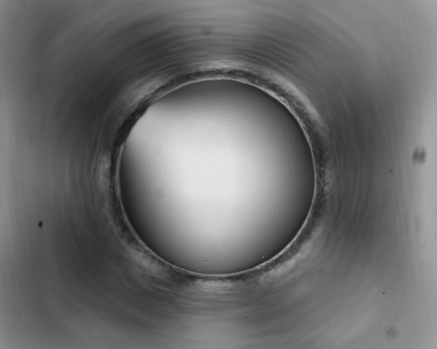 X0000103230825200808281428