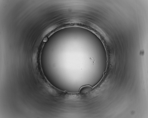 X0000103230826200808281429