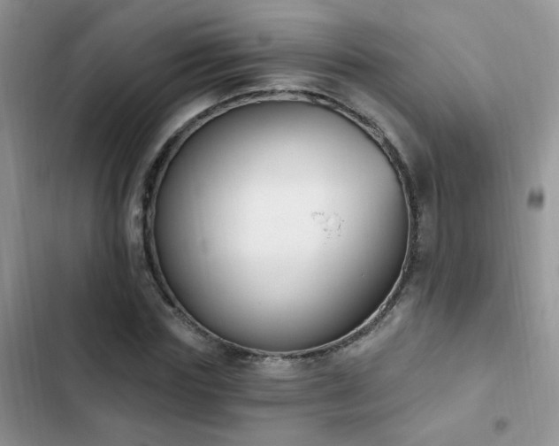 X0000103230827200808281429