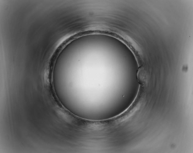X0000103230830200808281429