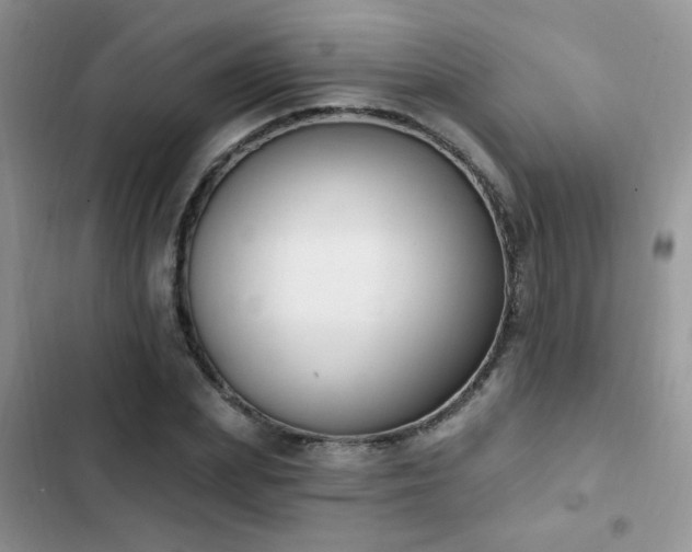 X0000103230831200808281429