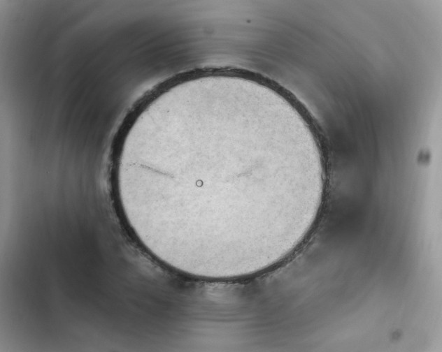 X0000103230832200808281429