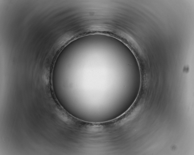 X0000103230833200808281429