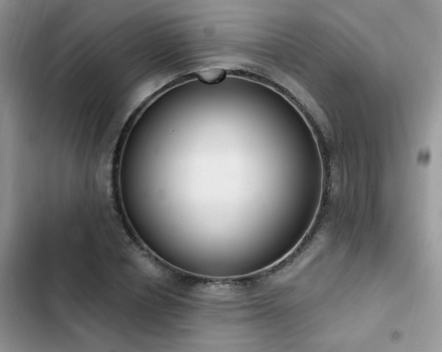 X0000103230834200808281429