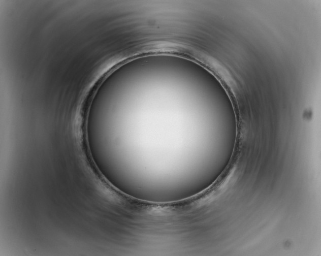 X0000103230835200808281429