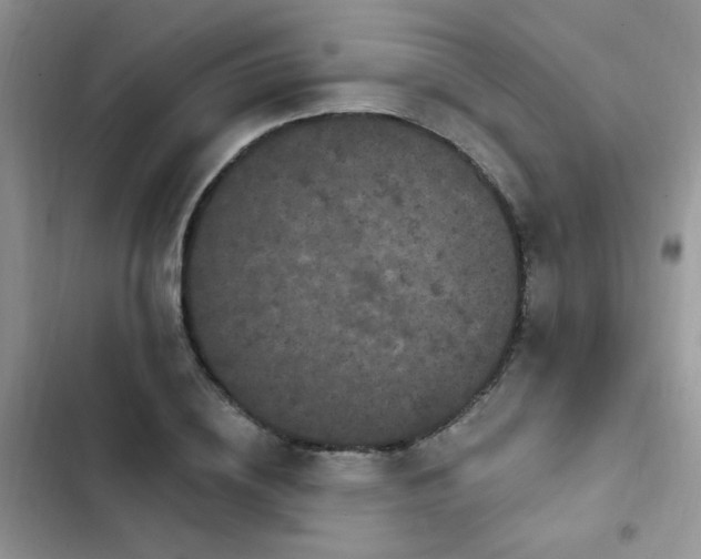 X0000103230836200808281429