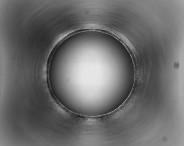 X0000103230839200808281429