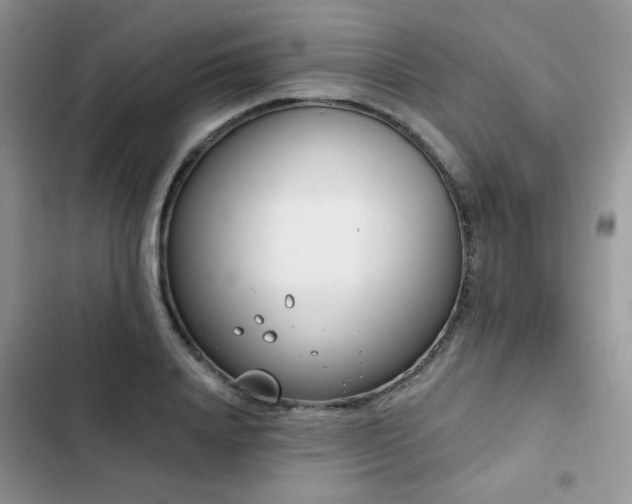 X0000103230840200808281429