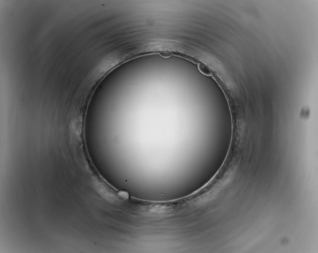 X0000103230841200808281429