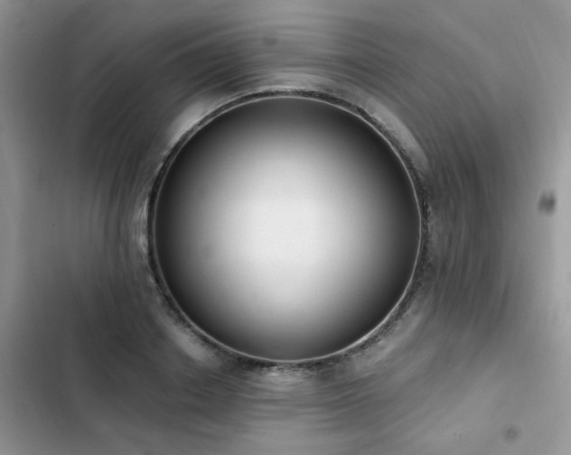 X0000103230842200808281429