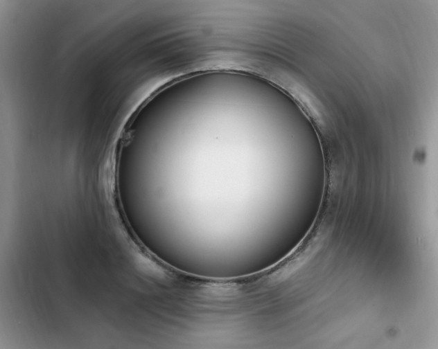 X0000103230844200808281429