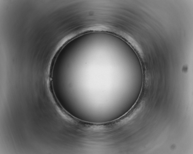 X0000103230845200808281429
