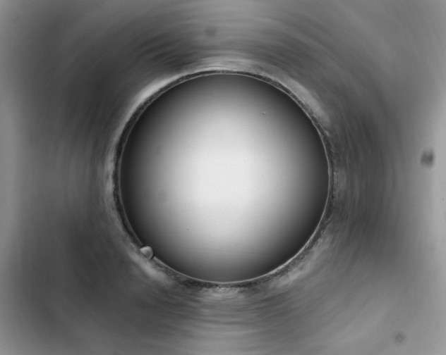 X0000103230846200808281429