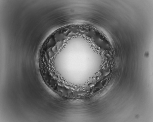 X0000103230851200808281429