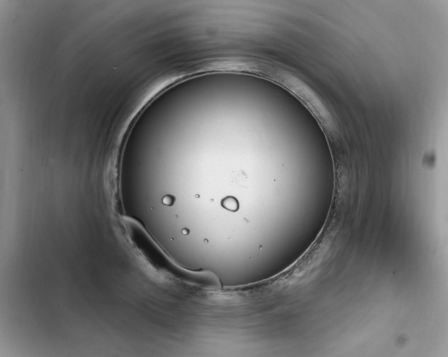 X0000103230852200808281429
