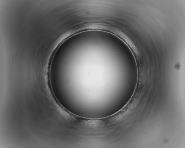 X0000103230853200808281429