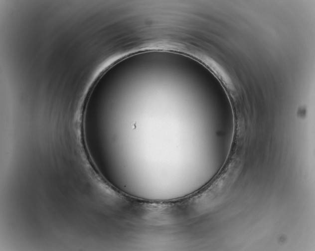 X0000103230854200808281429