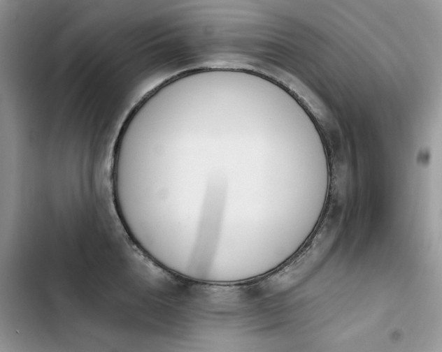 X0000103230856200808281429
