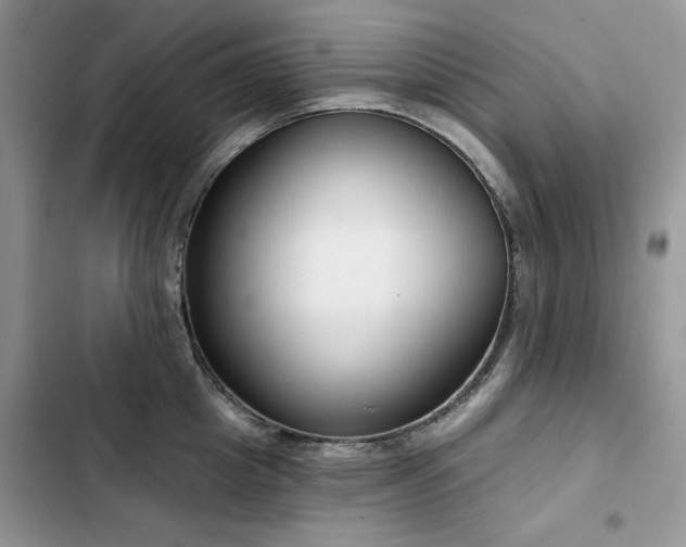 X0000103230857200808281429