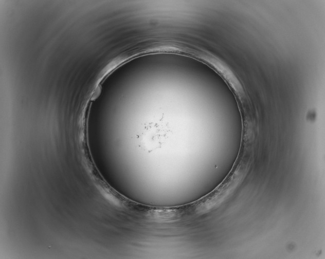 X0000103230858200808281429