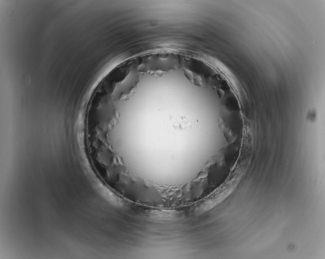 X0000103230859200808281429