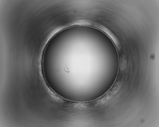 X0000103230861200808281429