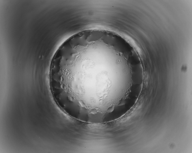 X0000103230863200808281429