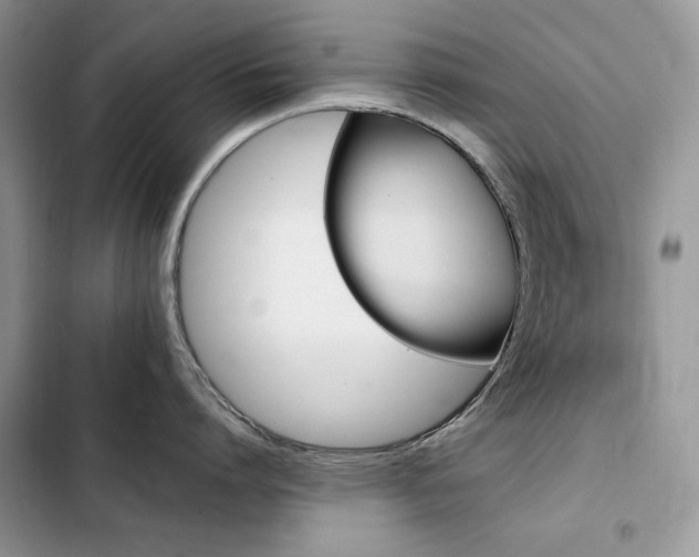 X0000103230864200808281429