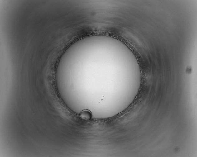 X0000103230865200808281428