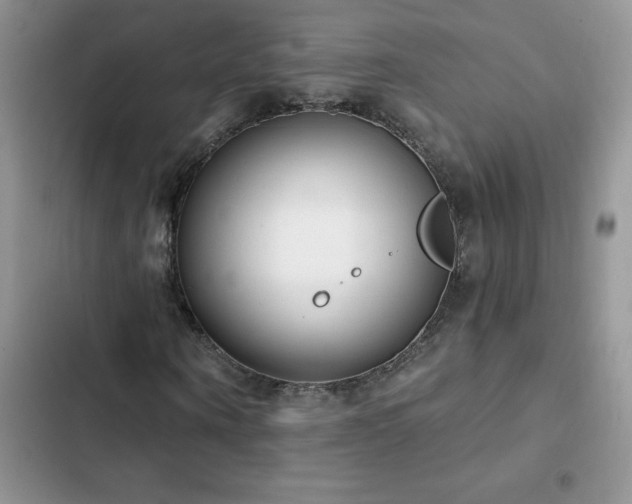 X0000103230866200808281428
