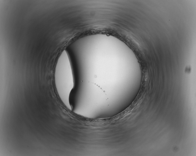 X0000103230868200808281428