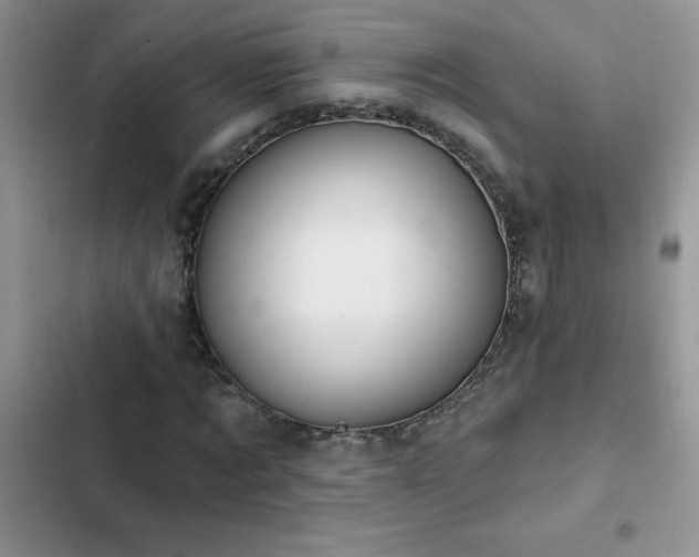 X0000103230869200808281428