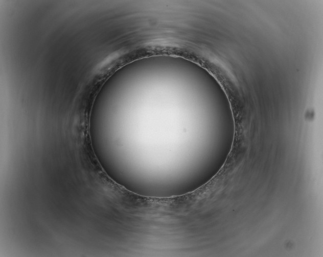 X0000103230870200808281428