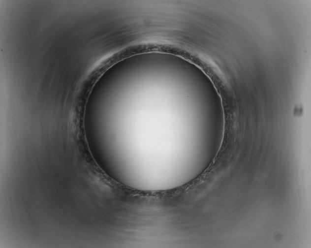 X0000103230872200808281428