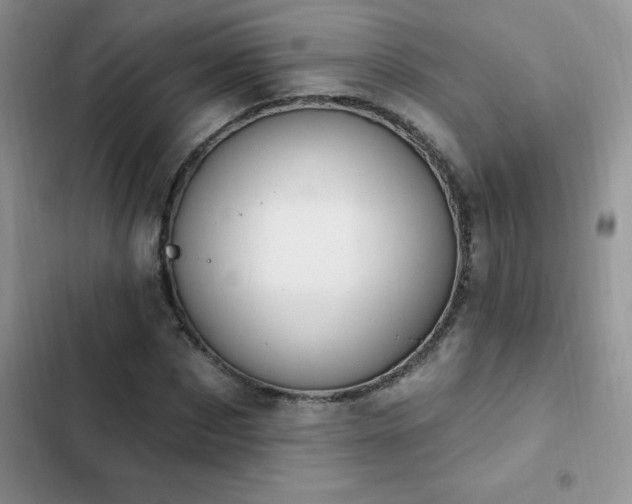 X0000103230873200808281428