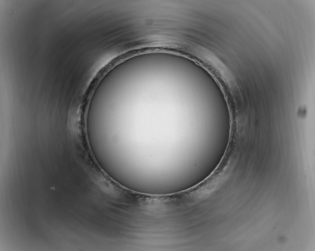 X0000103230875200808281428