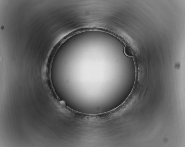 X0000103230876200808281428