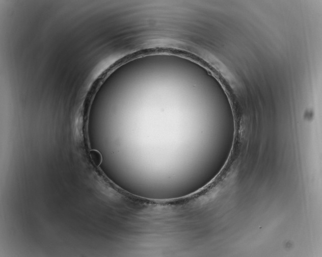 X0000103230877200808281428