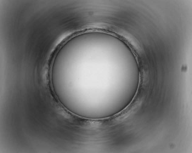 X0000103230878200808281428