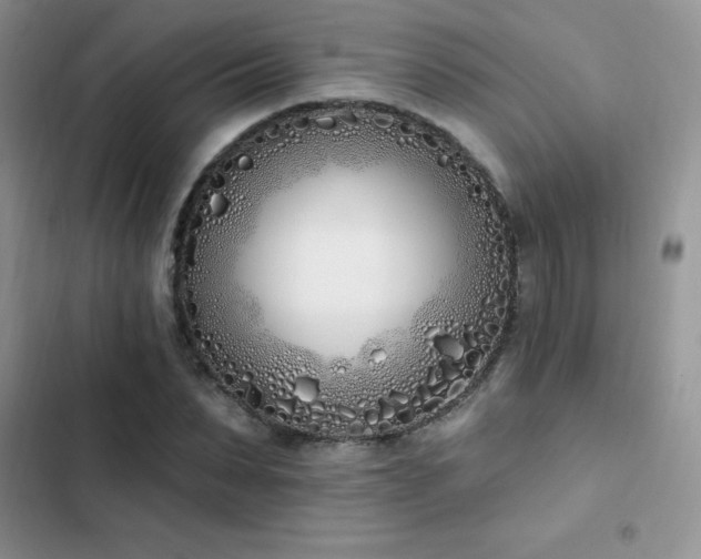 X0000103230879200808281428